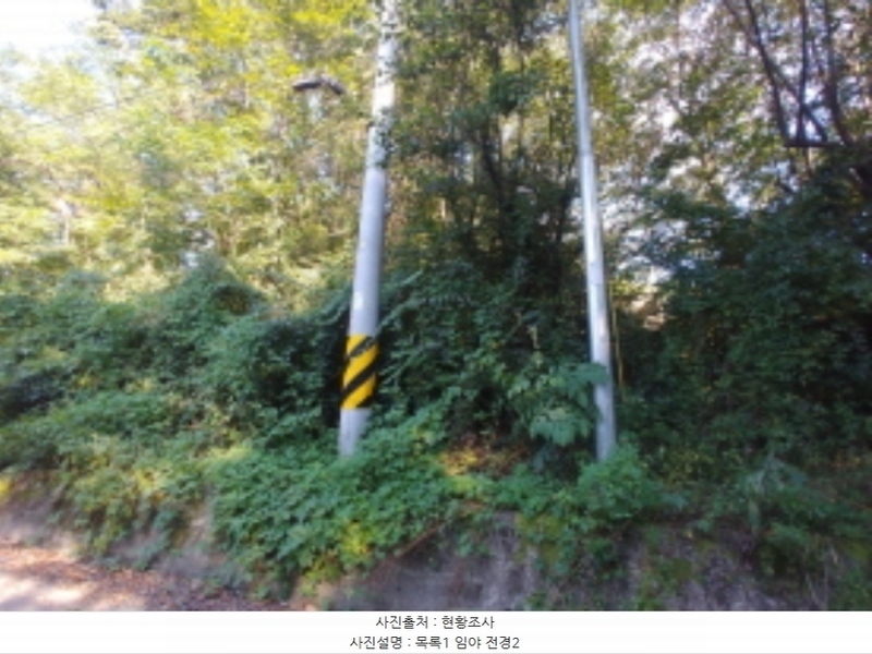 2024타경115840 충청남도 금산군 군북면 보광리 551-5 임야 경매 이미지