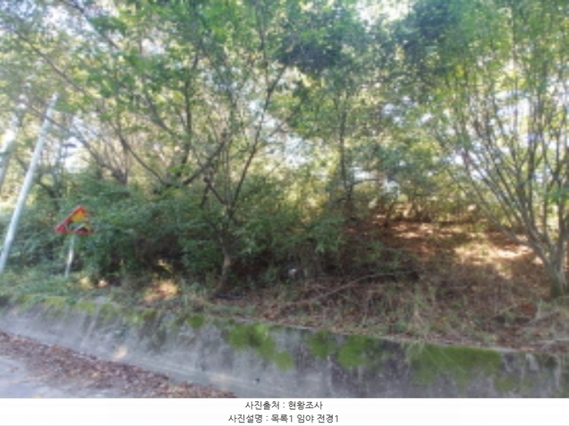 2024타경115840 충청남도 금산군 군북면 보광리 551-5 임야 경매 이미지