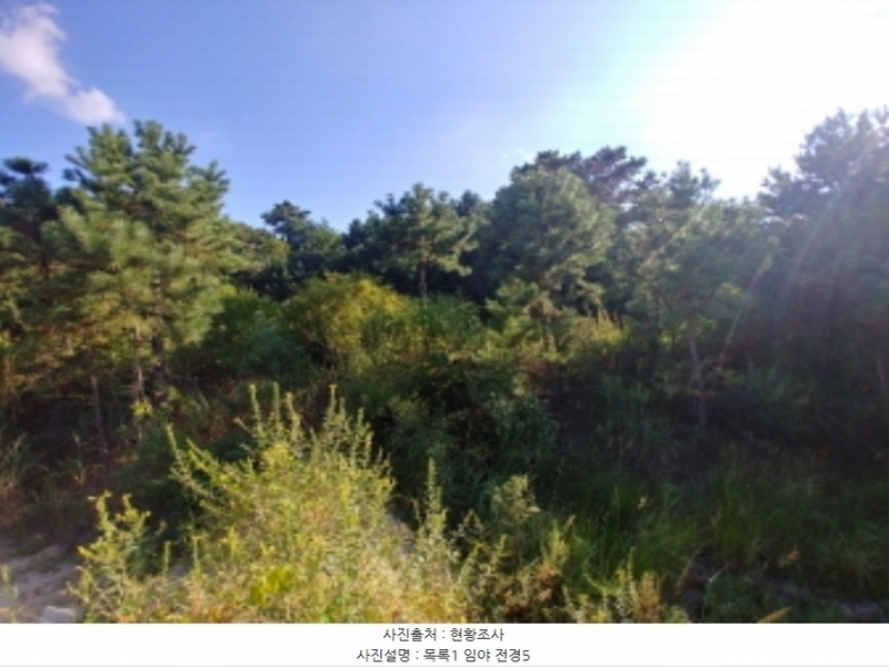 2024타경115840 충청남도 금산군 군북면 보광리 551-5 임야 경매 이미지