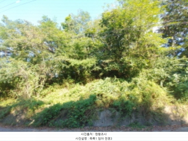 2024타경115840 충청남도 금산군 군북면 보광리 551-5 임야 경매 이미지