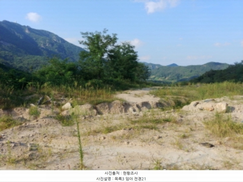 2024타경115840 충청남도 금산군 군북면 보광리 551-5 임야 경매 이미지