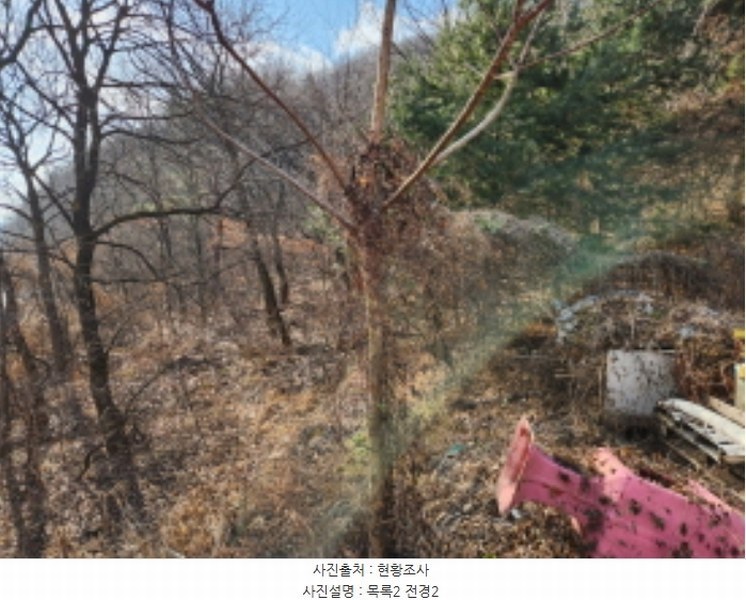 2024타경124837 세종특별자치시 장군면 금암리 252 농지 경매 이미지