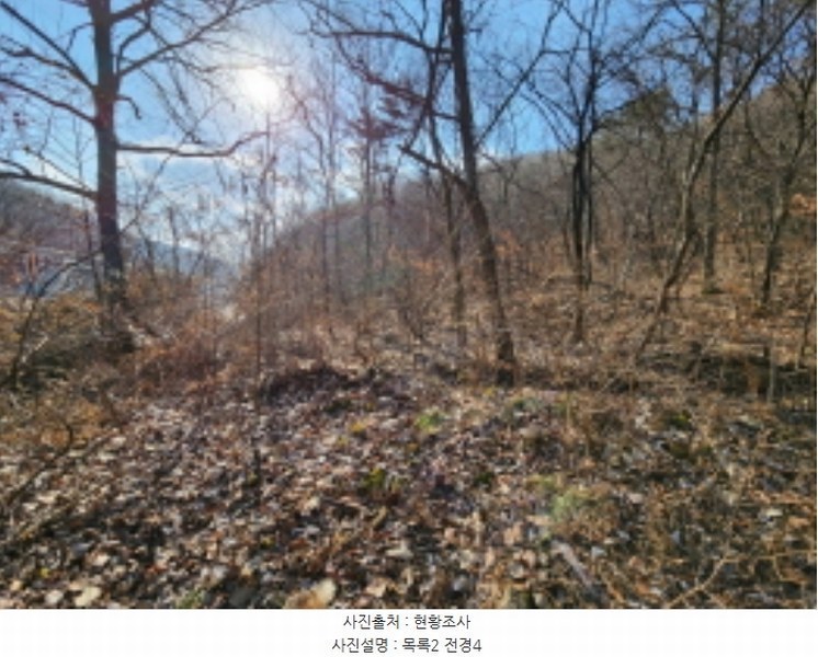 2024타경124837 세종특별자치시 장군면 금암리 252 농지 경매 이미지