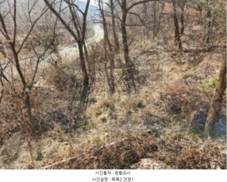 2024타경124837 세종특별자치시 장군면 금암리 252 농지 경매 이미지
