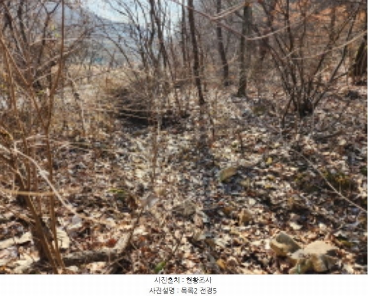 2024타경124837 세종특별자치시 장군면 금암리 252 농지 경매 이미지