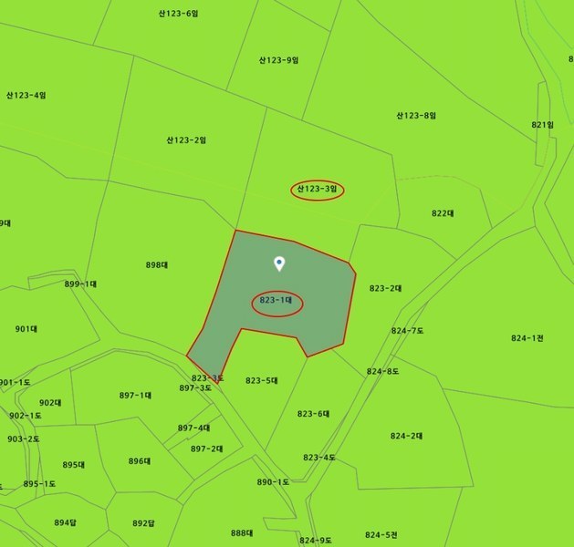 2025타경884 울산광역시 울주군 언양읍 반송리 823-1 임야 경매 이미지