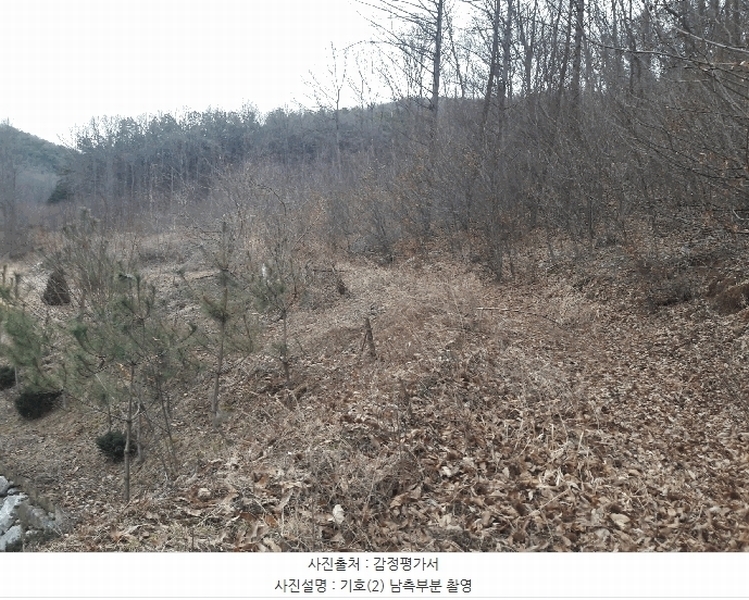 2025타경1344 세종특별자치시 전동면 청송리 307-3 농지 경매 이미지