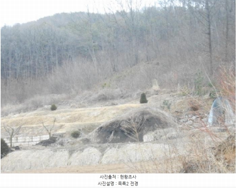 2025타경1344 세종특별자치시 전동면 청송리 307-3 농지 경매 이미지