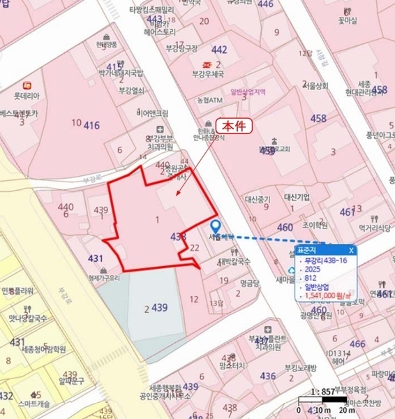 2025타경3652 세종특별자치시 부강면 부강리 438-1 대지 경매 이미지