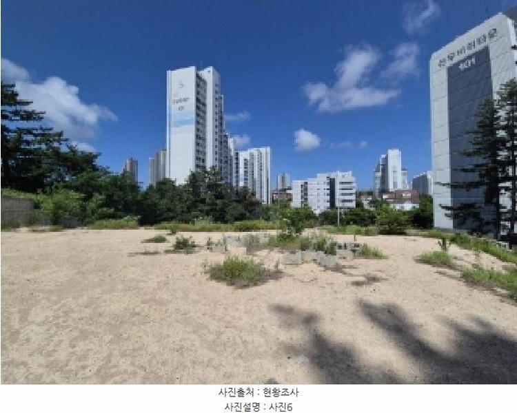 2025타경3859 경상북도 포항시 북구 장성동 산154-3 임야 경매 이미지