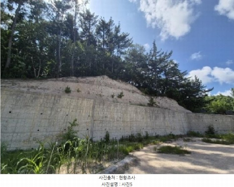 2025타경3859 경상북도 포항시 북구 장성동 산154-3 임야 경매 이미지