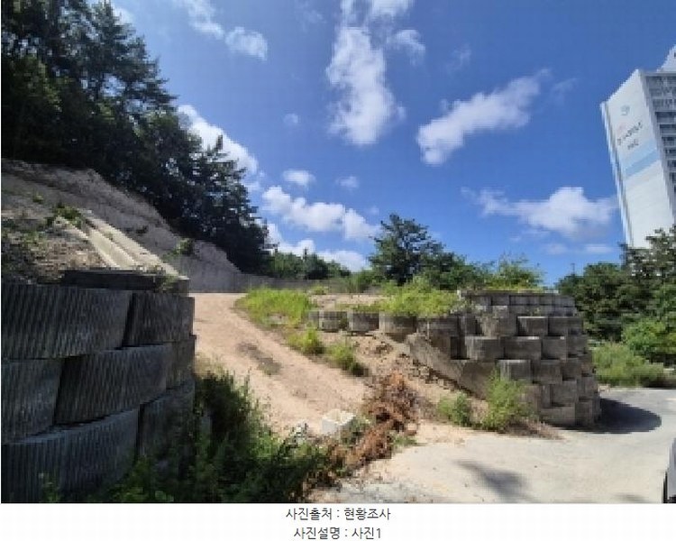 2025타경3859 경상북도 포항시 북구 장성동 산154-3 임야 경매 이미지