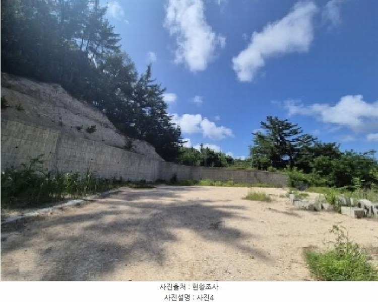 2025타경3859 경상북도 포항시 북구 장성동 산154-3 임야 경매 이미지