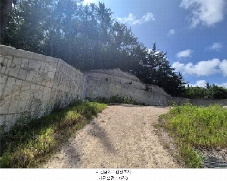 2025타경3859 경상북도 포항시 북구 장성동 산154-3 임야 경매 이미지
