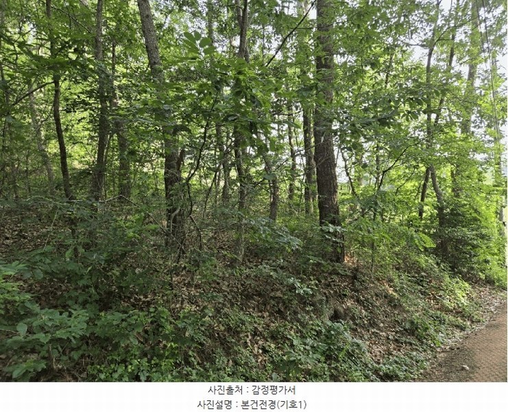 2025타경3859 경상북도 포항시 북구 장성동 산154-3 임야 경매 이미지