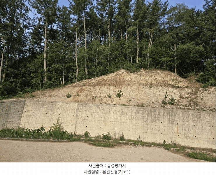 2025타경3859 경상북도 포항시 북구 장성동 산154-3 임야 경매 이미지