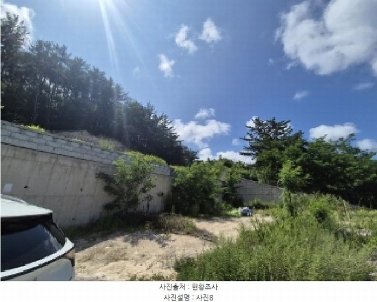 2025타경3859 경상북도 포항시 북구 장성동 산154-3 임야 경매 이미지