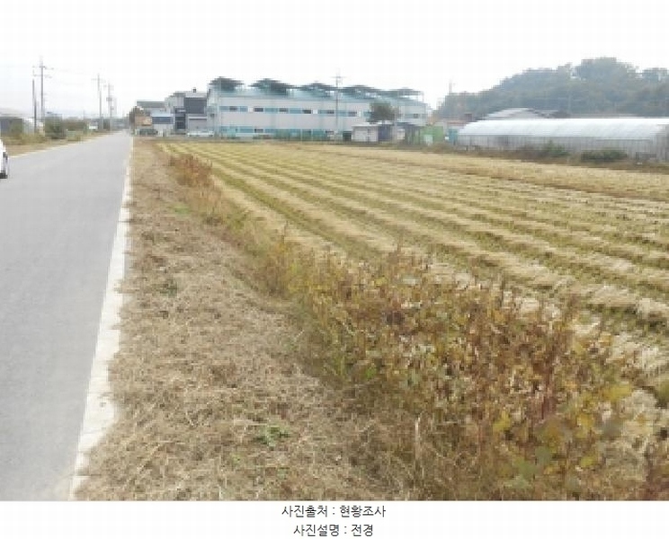 2025타경3886 세종특별자치시 연서면 쌍전리 661 농지 경매 이미지