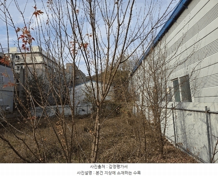 2025타경3970 대전광역시 동구 낭월동 502 대지 경매 이미지