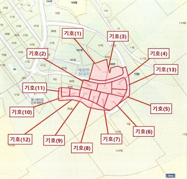 2025타경501820 충청남도 금산군 제원면 천내리 196-38 임야 경매 이미지