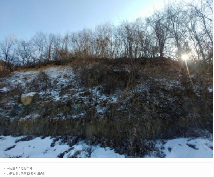 2025타경501820 충청남도 금산군 제원면 천내리 196-38 임야 경매 이미지