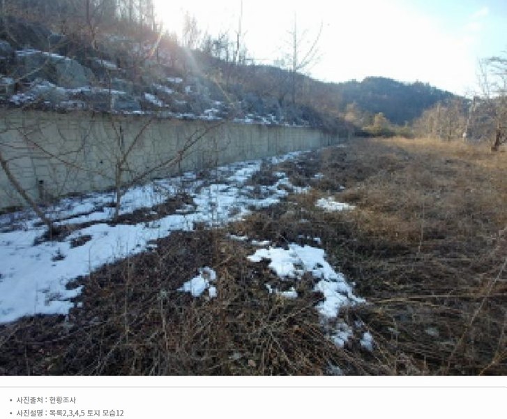 2025타경501820 충청남도 금산군 제원면 천내리 196-38 임야 경매 이미지