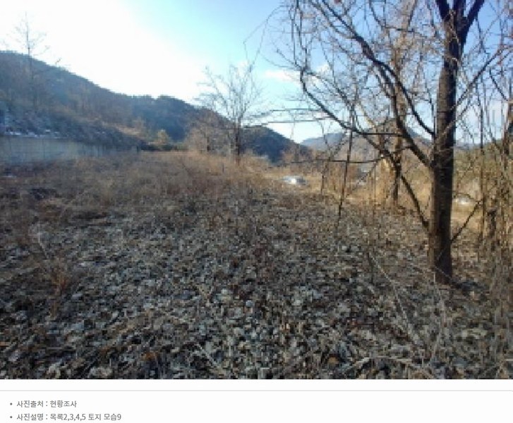 2025타경501820 충청남도 금산군 제원면 천내리 196-38 임야 경매 이미지