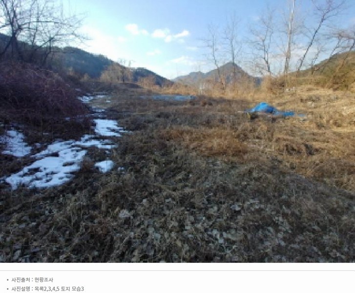 2025타경501820 충청남도 금산군 제원면 천내리 196-38 임야 경매 이미지