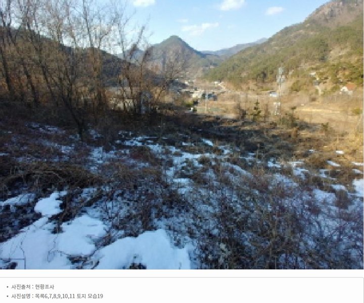 2025타경501820 충청남도 금산군 제원면 천내리 196-38 임야 경매 이미지