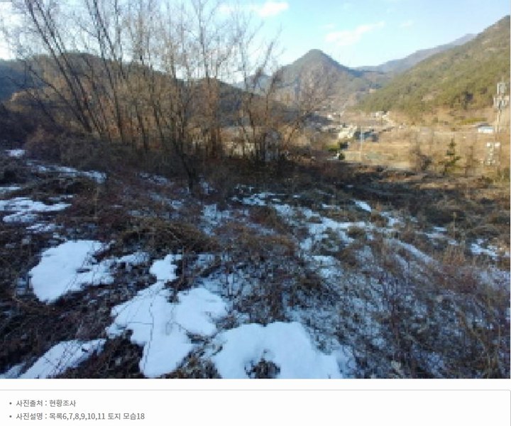 2025타경501820 충청남도 금산군 제원면 천내리 196-38 임야 경매 이미지