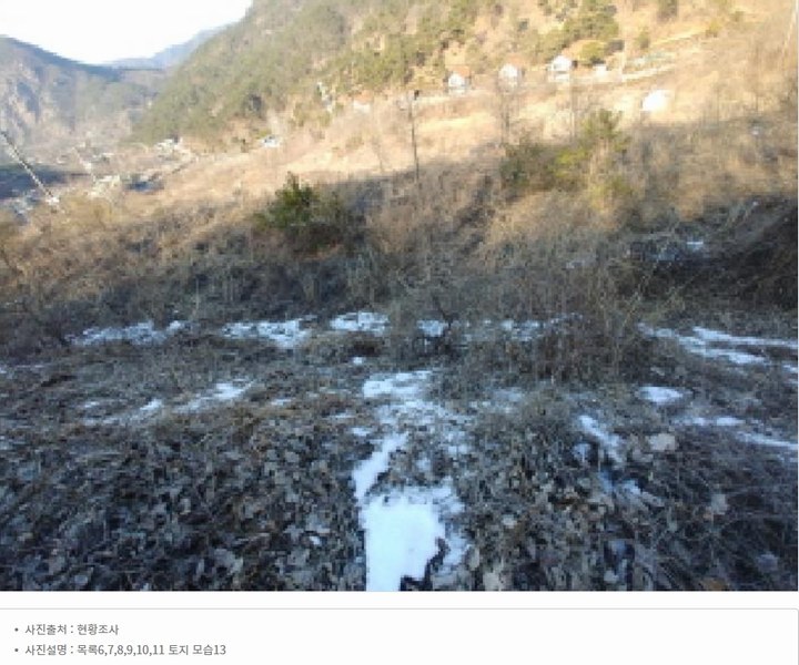 2025타경501820 충청남도 금산군 제원면 천내리 196-38 임야 경매 이미지