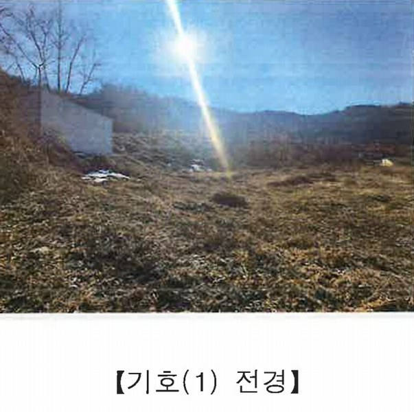 2025타경501820 충청남도 금산군 제원면 천내리 196-38 임야 경매 이미지