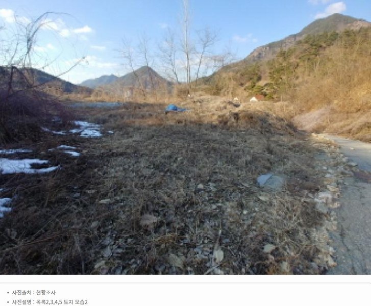 2025타경501820 충청남도 금산군 제원면 천내리 196-38 임야 경매 이미지
