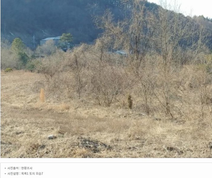 2025타경501820 충청남도 금산군 제원면 천내리 196-38 임야 경매 이미지