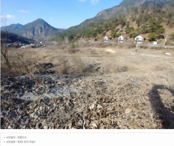 2025타경501820 충청남도 금산군 제원면 천내리 196-38 임야 경매 이미지
