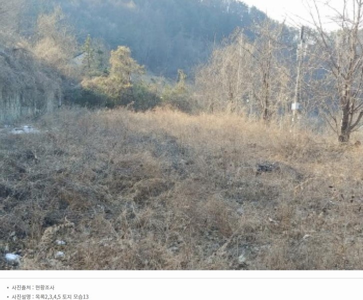 2025타경501820 충청남도 금산군 제원면 천내리 196-38 임야 경매 이미지