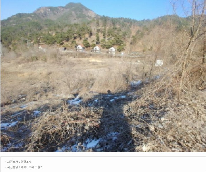 2025타경501820 충청남도 금산군 제원면 천내리 196-38 임야 경매 이미지