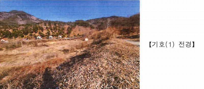 2025타경501820 충청남도 금산군 제원면 천내리 196-38 임야 경매 이미지