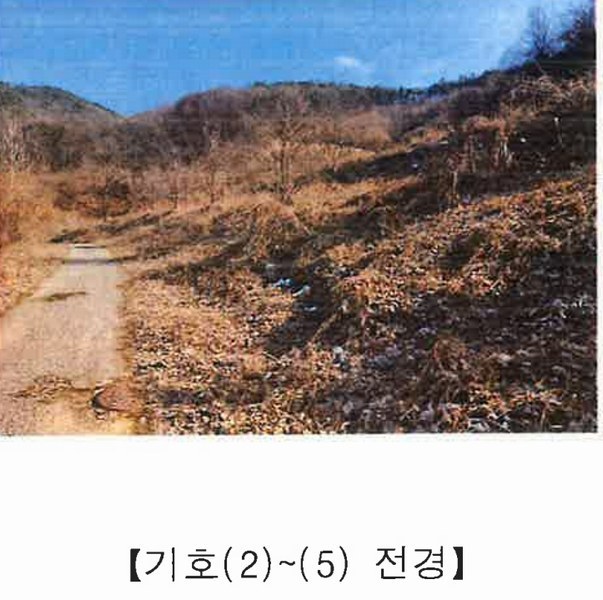 2025타경501820 충청남도 금산군 제원면 천내리 196-38 임야 경매 이미지