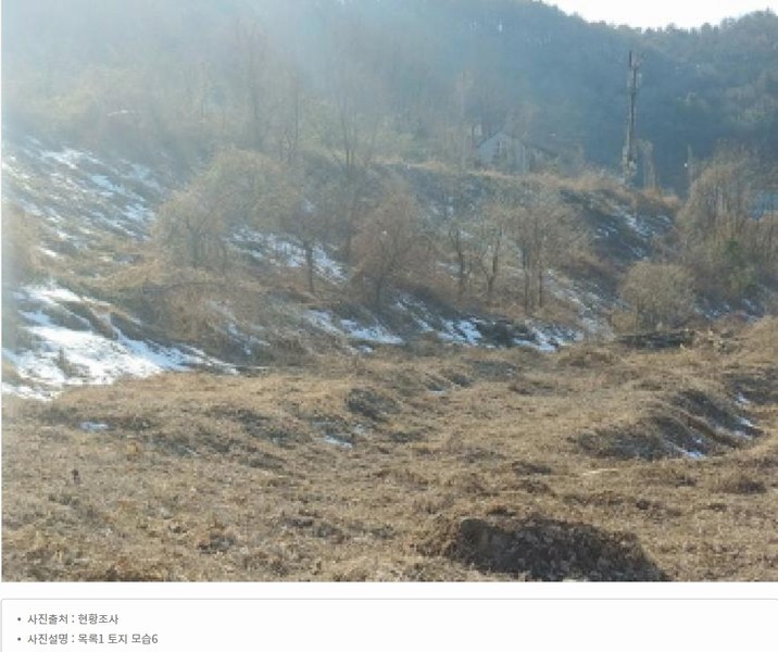 2025타경501820 충청남도 금산군 제원면 천내리 196-38 임야 경매 이미지