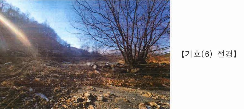 2025타경501820 충청남도 금산군 제원면 천내리 196-38 임야 경매 이미지