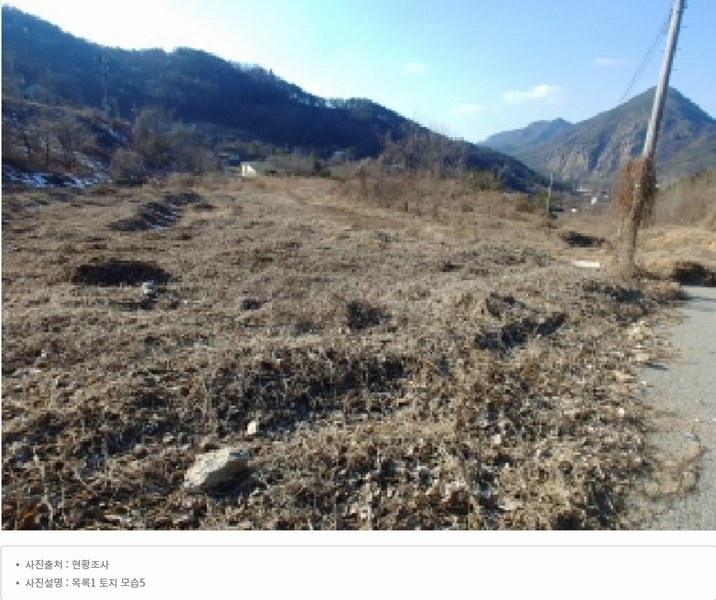 2025타경501820 충청남도 금산군 제원면 천내리 196-38 임야 경매 이미지