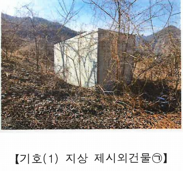 2025타경501820 충청남도 금산군 제원면 천내리 196-38 임야 경매 이미지