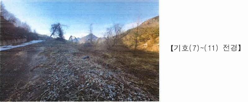 2025타경501820 충청남도 금산군 제원면 천내리 196-38 임야 경매 이미지