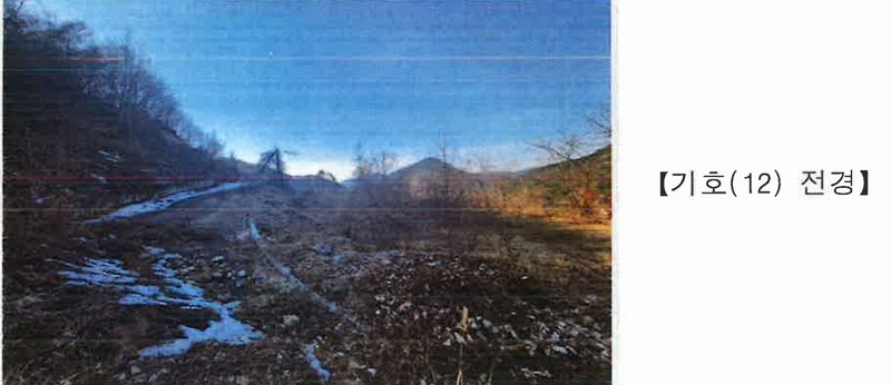 2025타경501820 충청남도 금산군 제원면 천내리 196-38 임야 경매 이미지