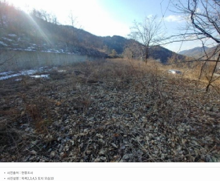 2025타경501820 충청남도 금산군 제원면 천내리 196-38 임야 경매 이미지
