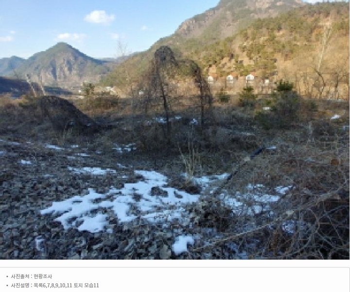 2025타경501820 충청남도 금산군 제원면 천내리 196-38 임야 경매 이미지