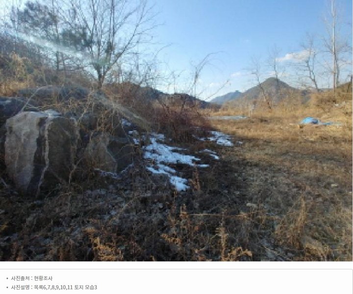 2025타경501820 충청남도 금산군 제원면 천내리 196-38 임야 경매 이미지