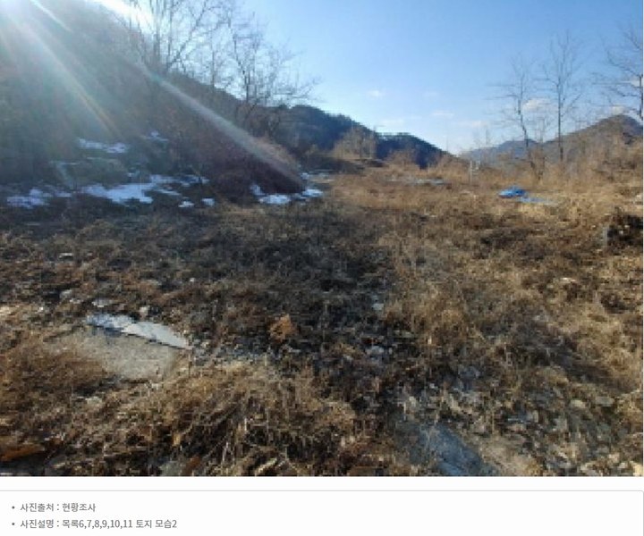 2025타경501820 충청남도 금산군 제원면 천내리 196-38 임야 경매 이미지