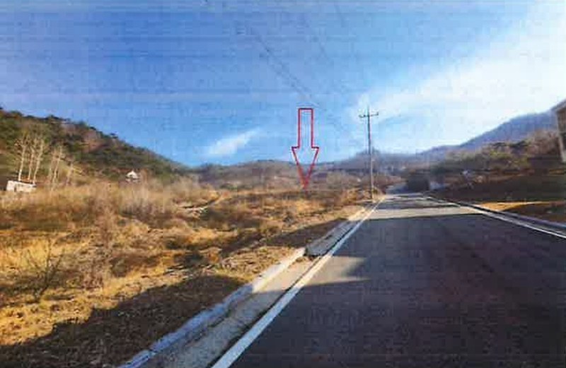 2025타경501820 충청남도 금산군 제원면 천내리 196-38 임야 경매 이미지